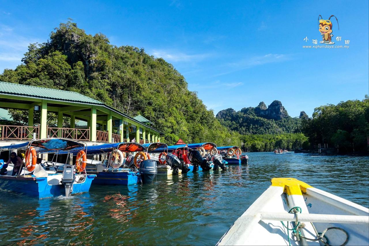 Mangrove Tour Langkawi: Jelajahi Ekosistem Pesisir yang Menawan